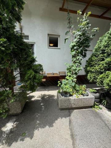 Cozy Flat Near Tivoli Park With Free Parking Apartment Ljubljana Ngoại thất bức ảnh